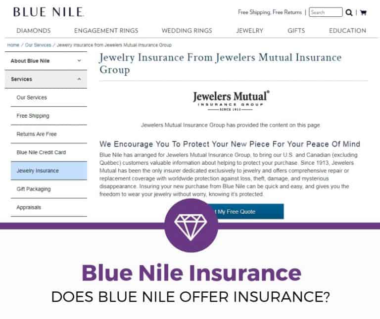 Blue Nile Insurance (What’re Your Options?)
