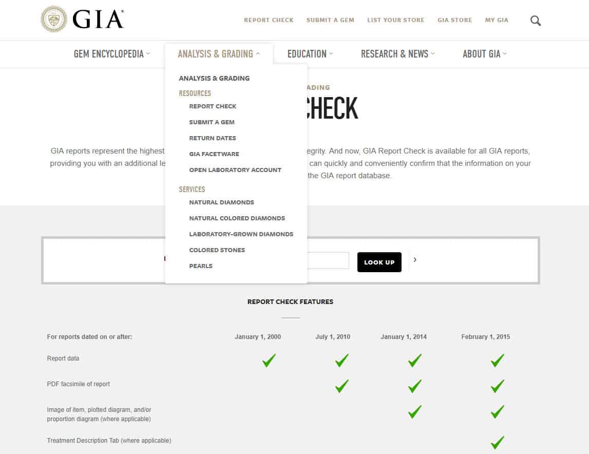 How Do You Buy Jewelry Online? (2024 Guide)